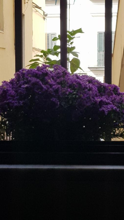 Il Giardino Sul Corso Διαμέρισμα Scafati Εξωτερικό φωτογραφία