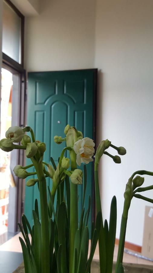 Il Giardino Sul Corso Διαμέρισμα Scafati Εξωτερικό φωτογραφία